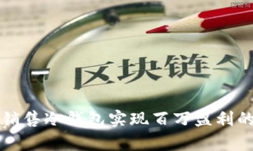如何通过销售冷钱包实现百万盈利的战略分析
