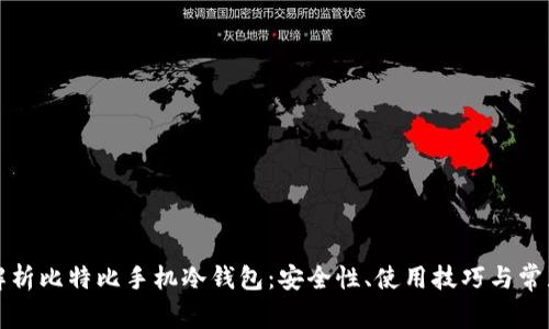 全面解析比特比手机冷钱包：安全性、使用技巧与常见问题