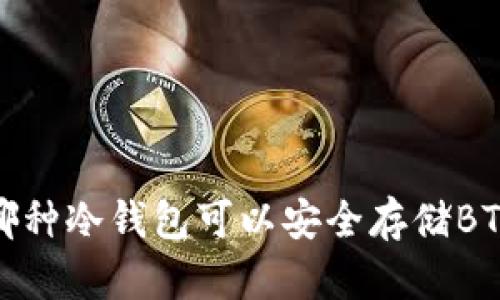 bio哪种冷钱包可以安全存储BTT币?