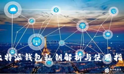 比特派钱包私钥解析与使用指南