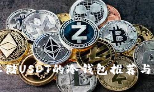 最适合存储USDT的冷钱包推荐与使用指南